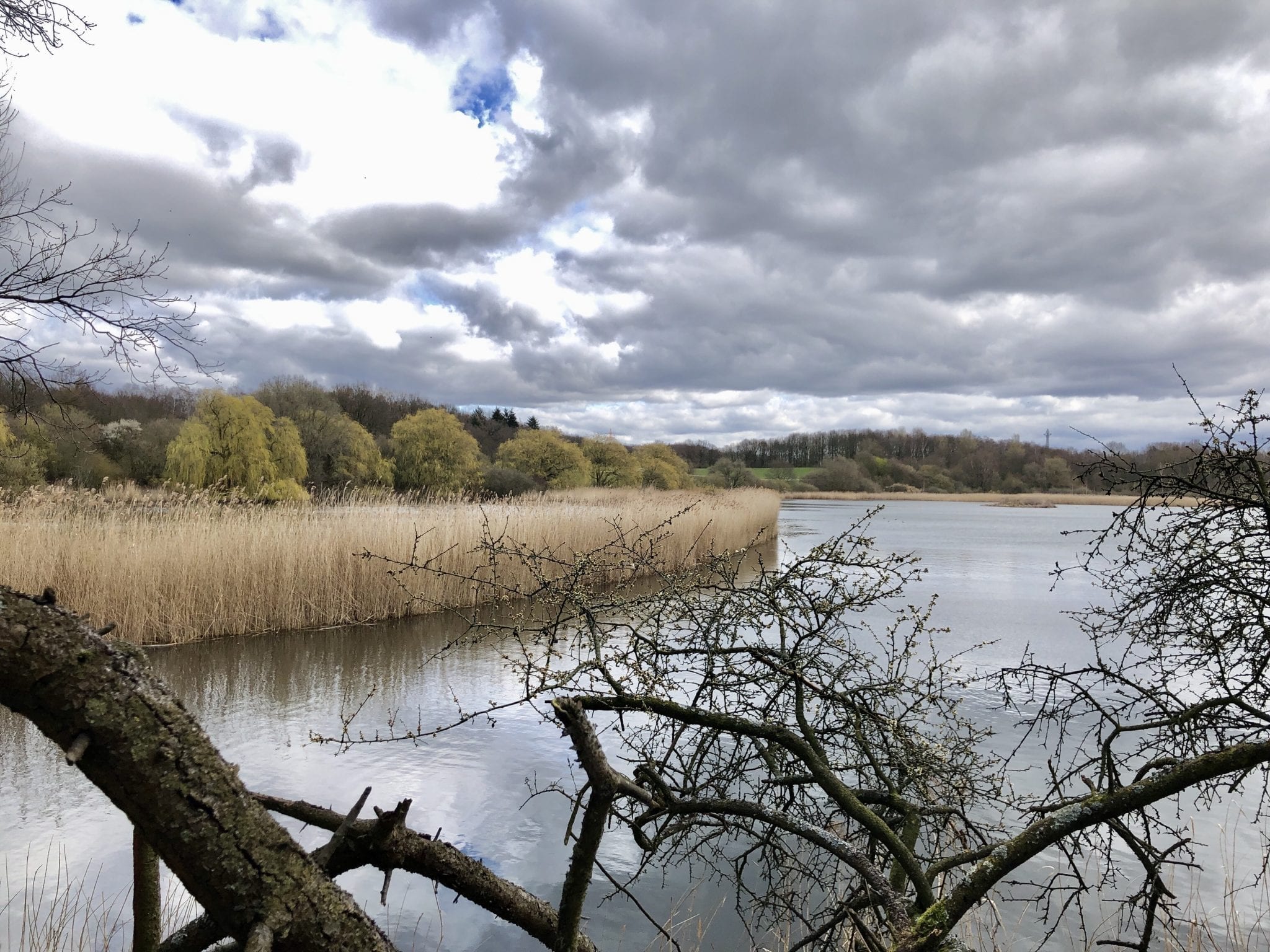 Spaziergang in Hamburg Um den Öjendorfer See Wandern