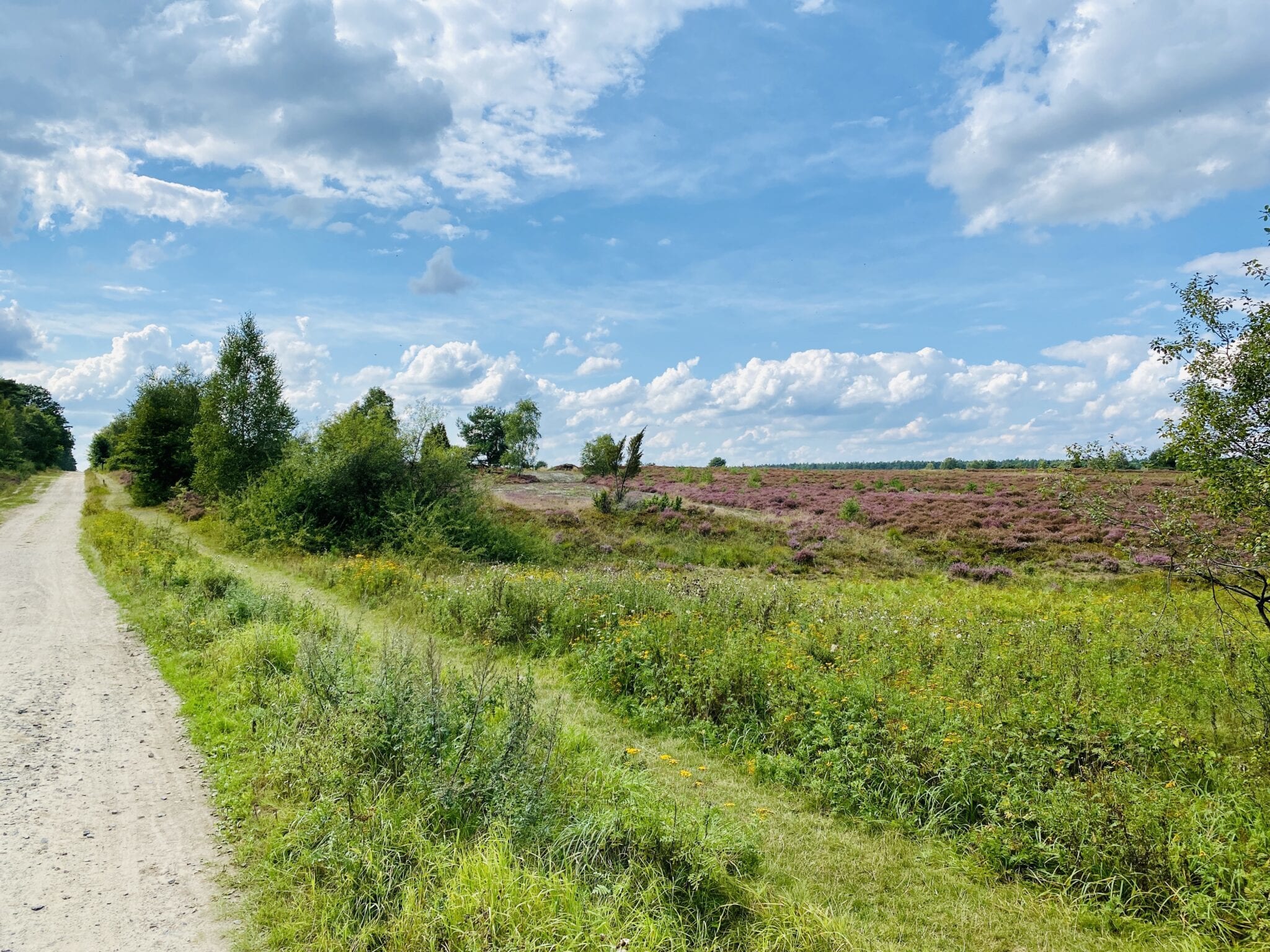 Fahrradtour durch die Lüneburger Heide: Undeloh, Handeloh, alle froh?
