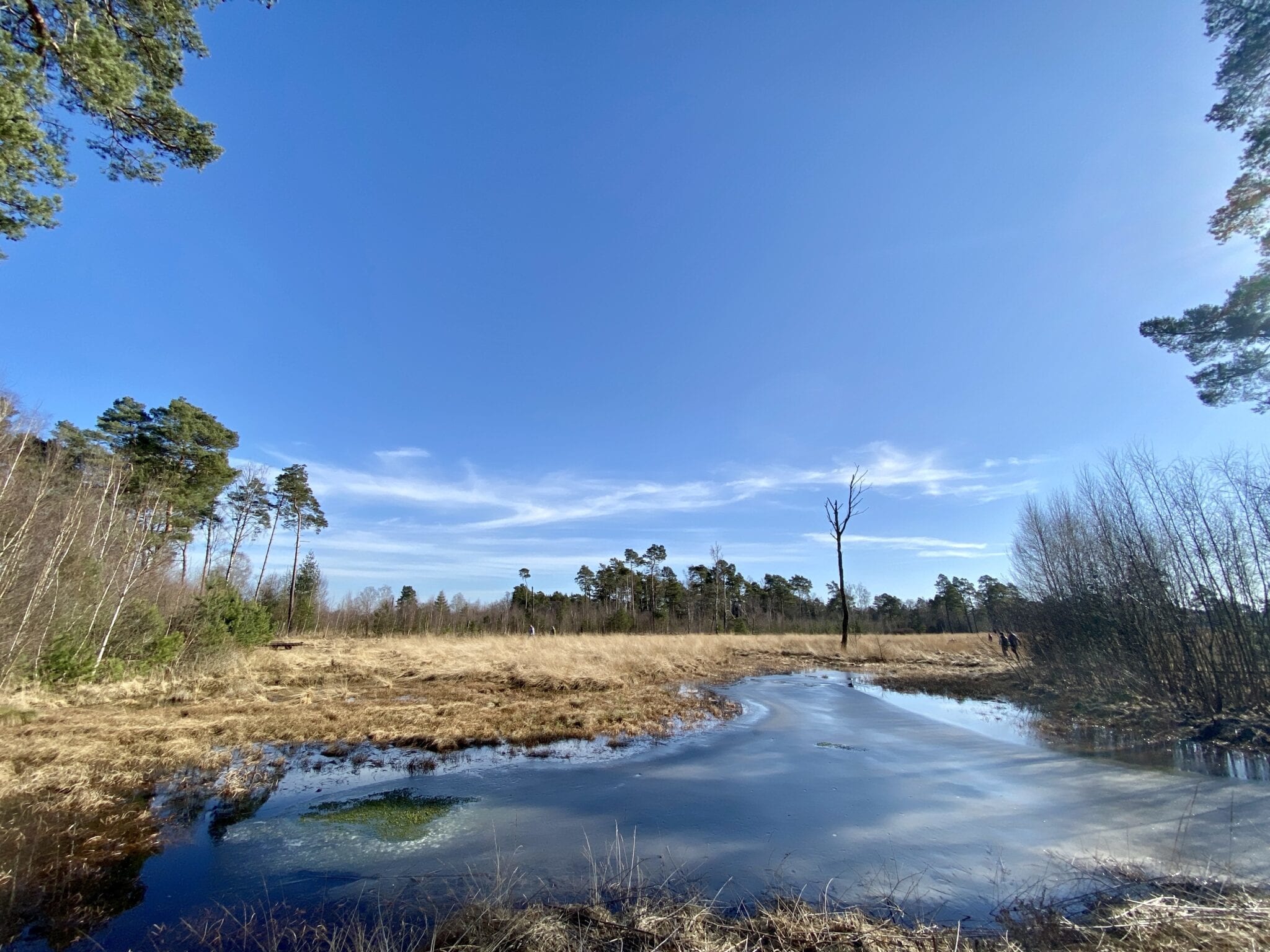 Ausflug ins Tister Bauernmoor zwischen Hamburg und Bremen